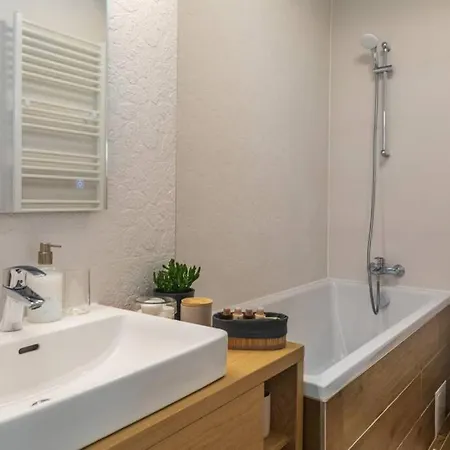 Top Floor Deluxe Pilots Studio With Balcony Апартаменти Брашов